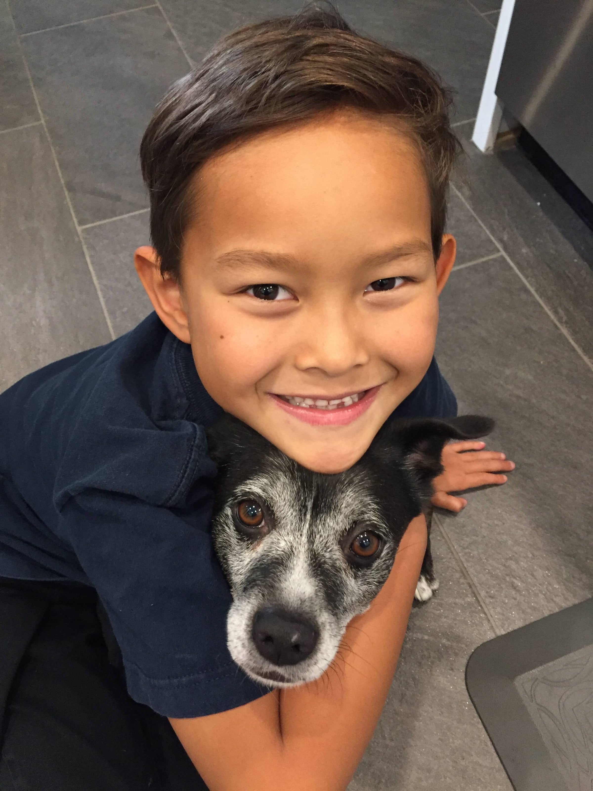 Our Mission | The Dog Biscuit Company